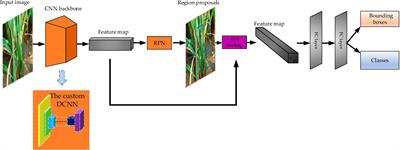 Convolutional neural network in rice disease recognition: accuracy, speed and lightweight